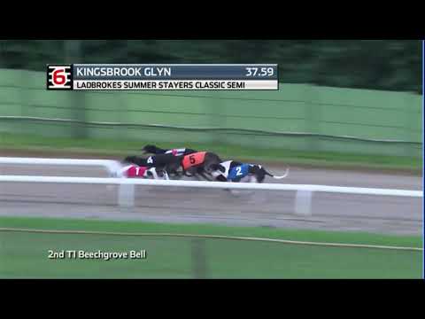 2020 LADBROKES SUMMER STAYERS - 1ST SEMI - T6 KINGSBROOK GLYN