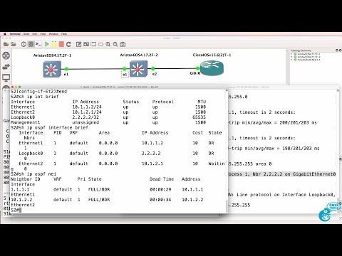 GNS3 Talks: Arista vEOS GNS3 import and configuration Part 2