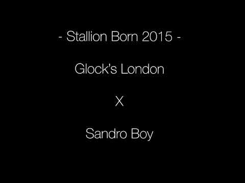 Súper stallion 👌Vp London Boy - Eurocommerce London / Sandro Boy / Canturo / Carthago . First shows