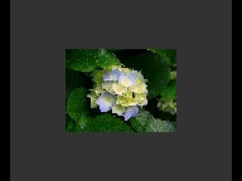 Ford and Glenn - Sleepy Head