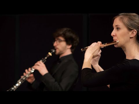 BRSO Academy: Johannes Brahms, Serenade Nr. 1 op. 11 D-Dur