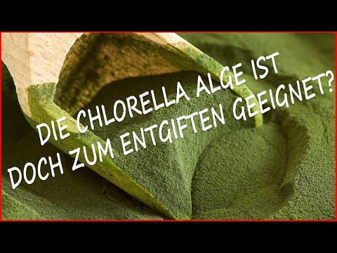 , title : 'Welche Eigenschaften hat die Chlorella Alge und wie sollte Sie dosiert werden?'