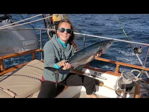 18-02_Cruising the wild side - Baja California (sailing ZERO)