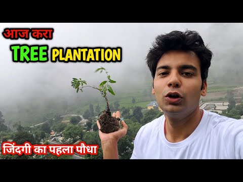 आज करा TREE PLANTATION जिंदगी का पहला पौधा || NAINITAL की बारिश 🌧ने परेशान करा काफी || @vermarohit