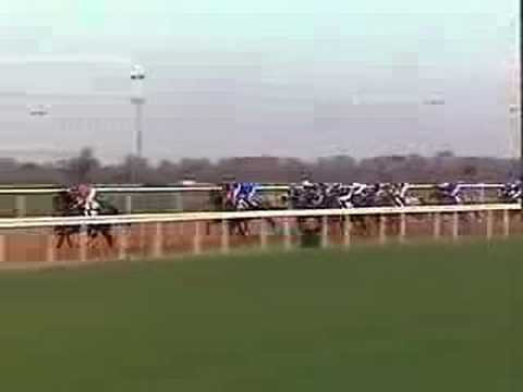 2006年 UAEダービー - ディスクリートキャット