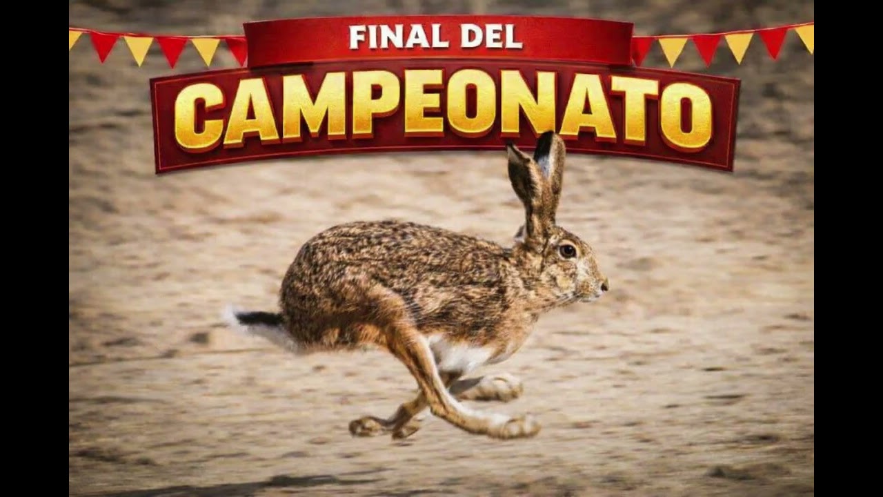 SEMIFINALES Y FINAL IV CAMPEONATO MONTIJO