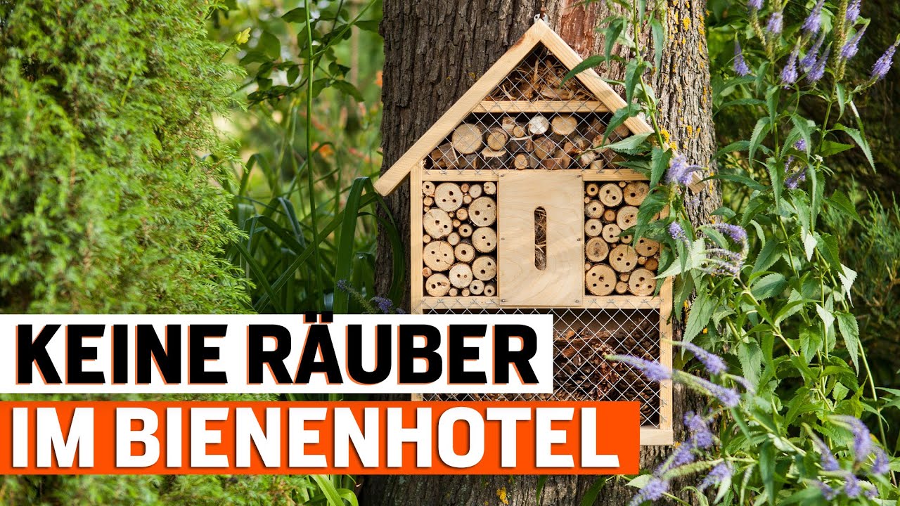 Bienen- und Insektenhotel vor Räubern schützen: Tipps und Tricks