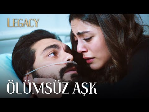 If you love me, don't go!  | Legacy Episode 277