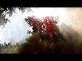 Gojira - Explosia (LYRIC VIDEO) 