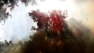 Gojira - Explosia (LYRIC VIDEO)