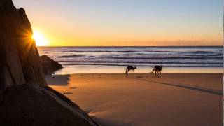 Brujo's Bowl - Kindling