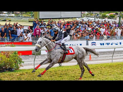 The Fashion Heights Barbe cup 2022(Group 1)- Frosted gold