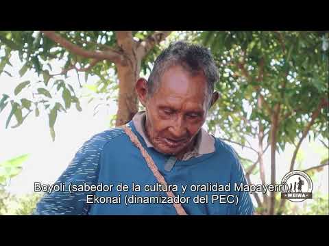 Narrativa Oral del Pueblo Mapayerri (Subtitulado)