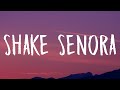 Pitbull - Shake Senora (Lyrics) ft. T-Pain, Sean Paul