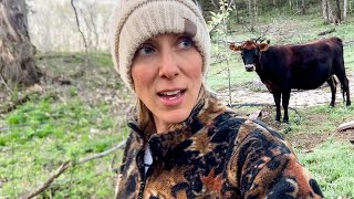 BELLA ESCAPED + HOW SHE GOT HERE