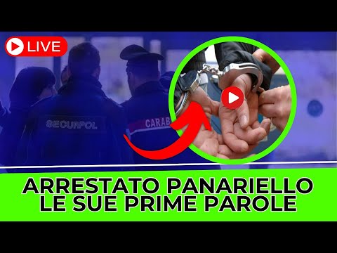 ❌ Panariello è stato arrestato, la pesantissima accusa: ha ucciso l'ex m...