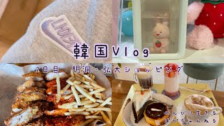 【韓国Vlog】明洞・弘大ショッピング(ゆるい)👚【2日目】Korean Trip✈️