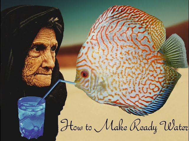How to make ready water for Discus fish. Aged Fresh water aging tutorial.