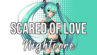 (NIGHTCORE) Scared of Love (feat. RAY BLK &amp; Stefflon Don) - Rudimental
