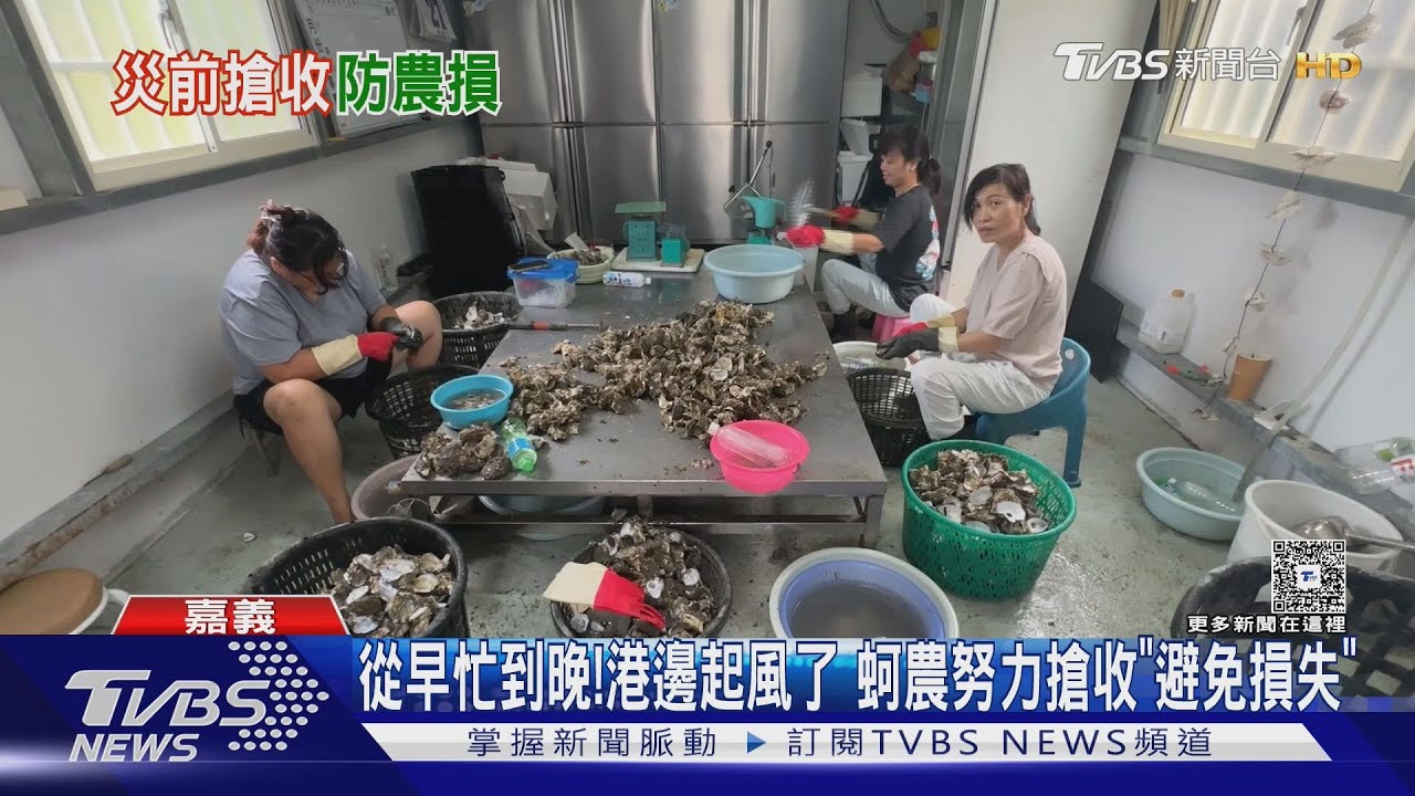 颱風恐襲台! 蚵農從早搶收到晚 漁民忙翻