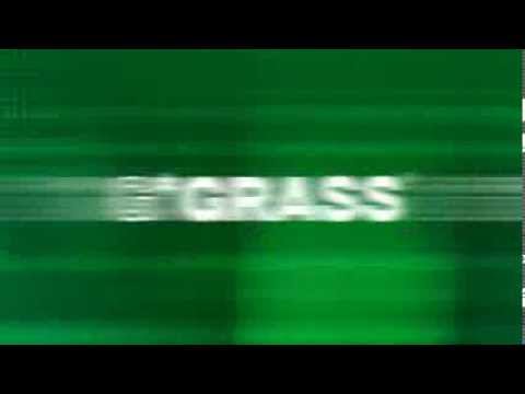 GRASS Dynapro image movie