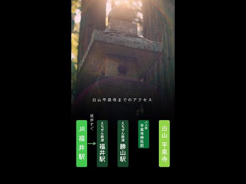 平泉寺白山神社