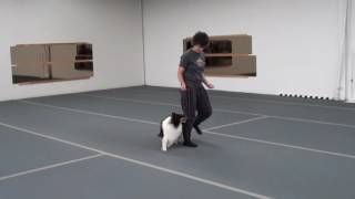 Putnam Poj Freestyle to Chris Rice&#39;s Smellin Coffee 12 12 13