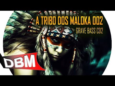 Volume 2 da Tribo dos Malokas