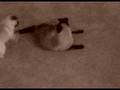 Keyser And Lola