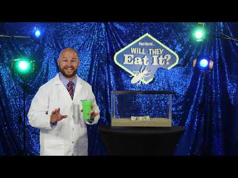 Pest World - Will They Eat It? Episode 3: Money