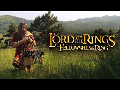 The Lord Of The Rings - Concerning Hobbits (Shire theme) - Cover by Dryante