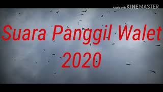 Download lagu Suara Panggil Walet//Durasi 1 jam mp3 Download lagu Suara Panggil Walet//Durasi 1 jam mp3
