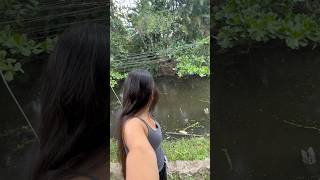 O PÂNTANO TÁ CHEIO DE JACARÉ