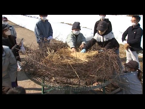 コウノトリを引き寄せる方法