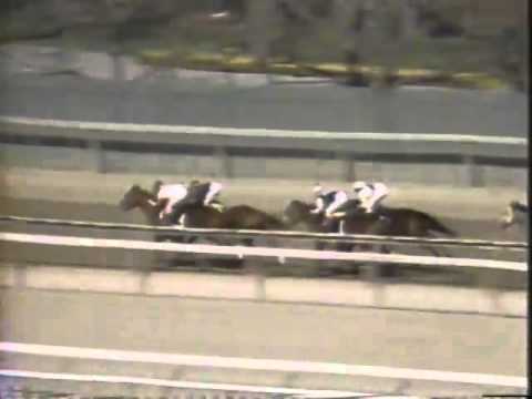 1989 Wood Memorial   EASY GOER