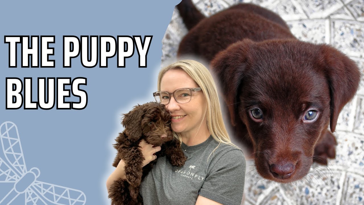 What Are The Puppy Blues? | Video