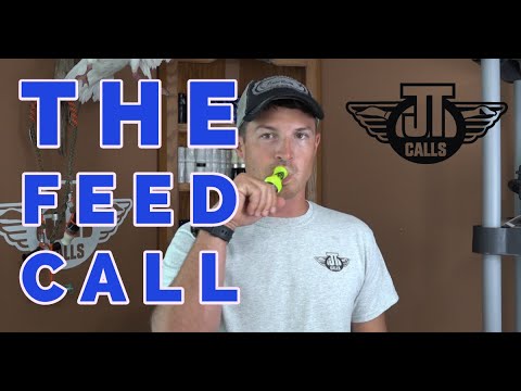 Duck Calling - The Feed Call (How To On A Duck Call)
