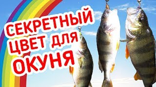 Уловистые цвета приманки на щуку и окуня