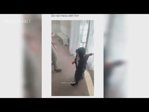 WHEN YOU'RE SO STUPID #25