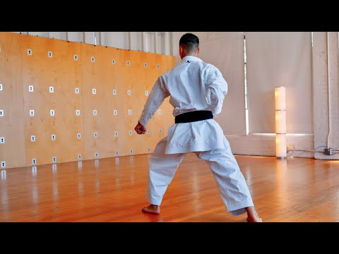 Taikyoku Shodan Slow Motion 🥋⛩️ | Shotokan Karate Kata