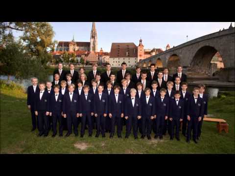 Guten Abend, gut Nacht - Regensburger Domspatzen