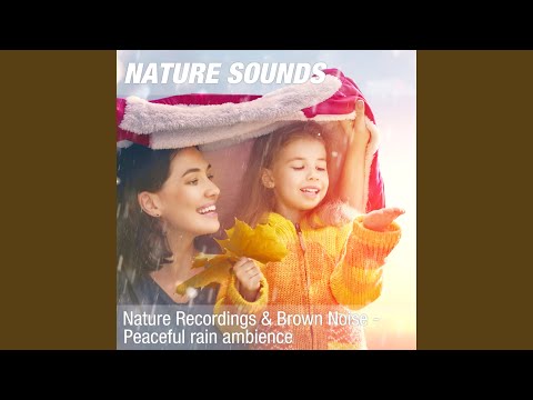 Nature Sounds for Calming the Mind, Relaxation & Clarity (Soothing rain sounds) 16