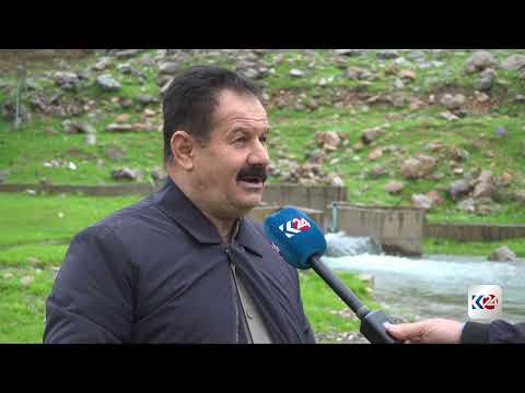 عيونُ الماءِ في جبل باداوان تتدفّقُ من جديد بعد سنواتٍ من الجفاف 