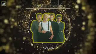 Not Sorry by The Cranberries