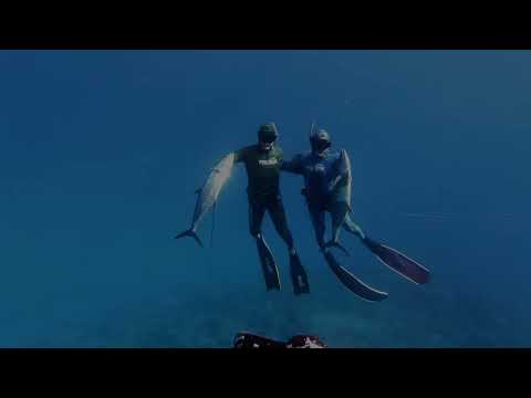 Extrem sport fishing ESF mix ep 46 spearfishing