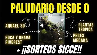 🌿🎁 Montamos un Paludario desde CERO +  SORTEOS SICCE y Nueva llegada de PLANTAS Tropica
