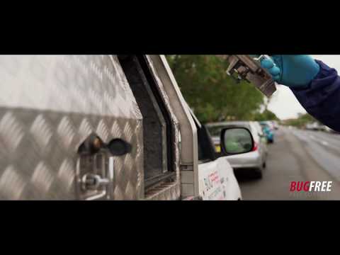 WHY BUGFREE? Looking For A Quality Pest Controller - BUGFREE PEST CONTROL SYDNEY