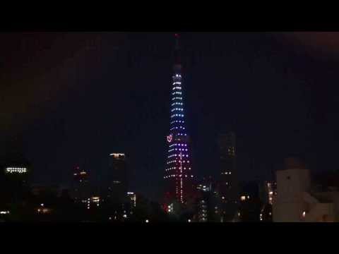 Необычная Красивая Токийская башня