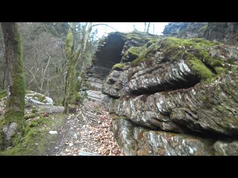 Schon wieder einen tollen Zufallsfund beim wandern gemacht! Danke an 300+ Abos!