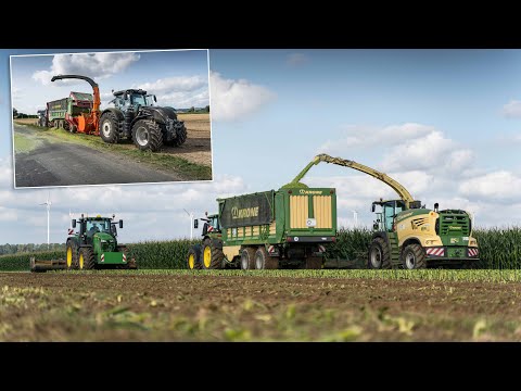 Maisernte mit Krone BigX 780 | Überladetechnik-Spezial l LU Rohm, LU Mikus